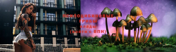 ALPHA PVP Аркадак