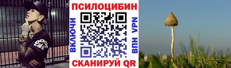 omg зеркало Чапаевск Галлюциногенные грибы мухоморы как найти закладки